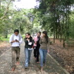 FT CO - Jd Botanico