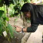 FT CO Jd Botanico - resolvido o desafio, hora de registrar
